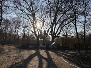 eingang des goetheparks im gegenlicht. hinter den bäumen scheint die sonne und wirft scharf geschnittene schatten auf den boden.