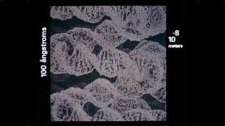 YouTube Video Vorschaubild