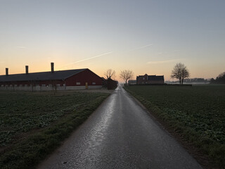 foto eines geteerten feldwegs, links ein grosser stall, einige kahle bäume am horizont, der morgenhimmel leuchtet orange-blau