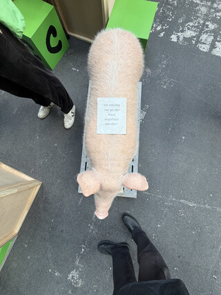 mechanotronisches schwein mit einem zettel auf dem rücken: „ich möchte nur an der nase angefasst werden“