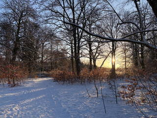 foto von ehemaligen, jetzt schneebedekcten friedhof am plötzensee, die morgensonne scheint durch die bäume.