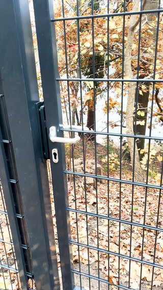 metallzaun mit türgriff, blick auf herbstlich gefärbte bäume und gefallene blätter im hintergrund