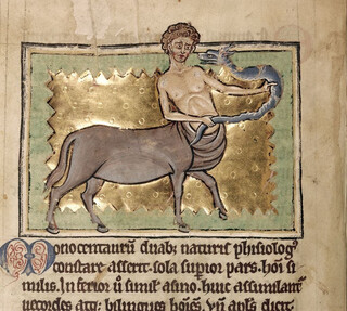 bestiarium: zentaur