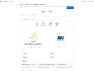 screenshot des page speed test für wirres.net. beim mobile ergebnis sind nur „best practices“ und „SEO“ 100%. leistung und barrierefreiheit sind unter 80%.