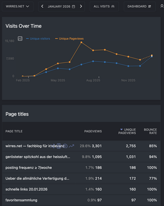 screenshot meiner matomo instanz mit den unique visits und unique paghe views der letzten 12 monate