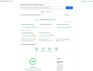 screenshot des page speed test für den spitzkohl-rezept-artikel. alles auf 100%, ausser der barrierefreiheit. die ist bei 95%.