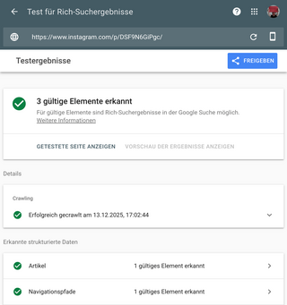 screenshot vom google rich text tester, hier die auflistung von schema elementen einer instagramseite