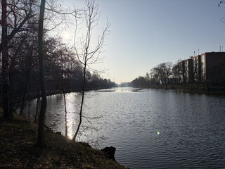 foto vom berlin spandauer schifffahrtskanal. die bäume sind kahl, das wasser glitzert
