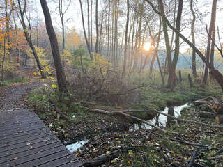 bild vom sumpfigen gel&auml;nde am summter see