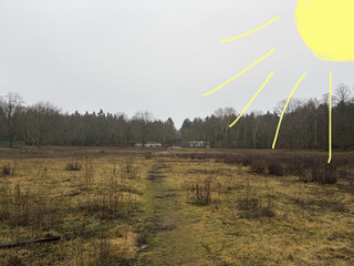 catcherwiese am frühen morgen des 22.12.2025, es ist trüb und diesig. eine aufgemalte sonne suggeriert dass es sonnig gewesen sein soll.