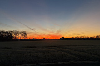 sonnenaufgang in karken mit kahlen bäumen am horizont. der himmel leuchtet in warmen orange- und gelbtönen, die in ein kühles blau übergehen. sanfte silhouetten und ruhige winterlandschaft.