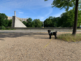 frida vor dem &bdquo;mauerbrunnen&ldquo; im invalidenpark