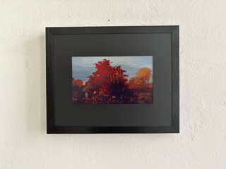 der switchbot-„art displays“ it einem meter abstand fotografoert. das angezeigte bild von einem herbstlich-rot-leuchtenden baum auf dem e-ink-display sieht etwas blass aber ganz OK aus.