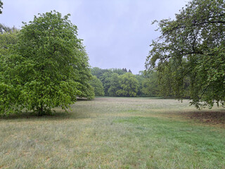 bürgerwiese