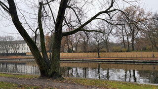 Park am Präsidentendreieck