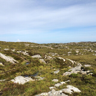 Photo by felix schwenzel on August 02, 2015. Keine Fotobeschreibung verf&uuml;gbar..