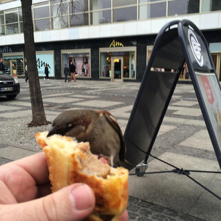 Photo by felix schwenzel on February 16, 2016. Keine Fotobeschreibung verf&uuml;gbar..