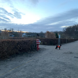 Photo by felix schwenzel on December 31, 2020. Keine Fotobeschreibung verf&uuml;gbar..