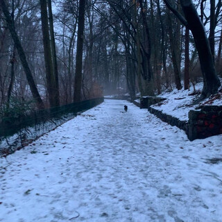 neblig-matschig heute
