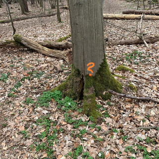 Photo by felix schwenzel on April 18, 2021. Keine Fotobeschreibung verf&uuml;gbar..