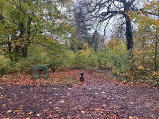 Photo by felix schwenzel on November 04, 2024. Keine Fotobeschreibung verf&uuml;gbar..