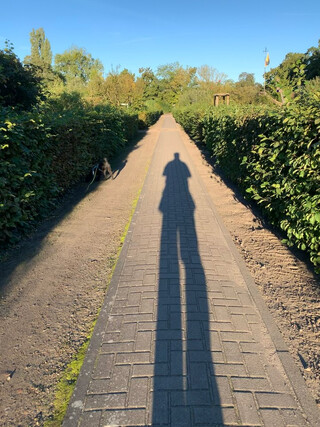 morgenspaziergang