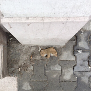 Photo by felix schwenzel in Kupiec Poznański. Keine Fotobeschreibung verf&uuml;gbar..