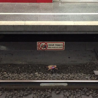 Photo by felix schwenzel in M&uuml;nchen Hauptbahnhof. Keine Fotobeschreibung verf&uuml;gbar..