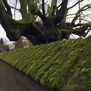 Photo by felix schwenzel on April 04, 2015. Keine Fotobeschreibung verf&uuml;gbar..